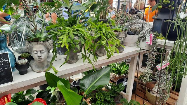 Foto: Kristin Hätterich