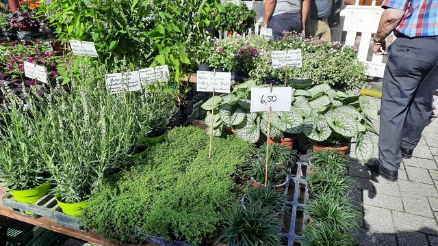 Foto: Kristin Hätterich