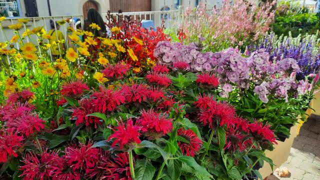 Foto: Kristin Hätterich