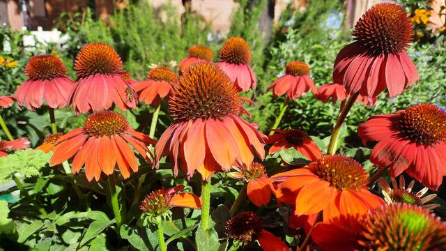 Foto: Kristin Hätterich