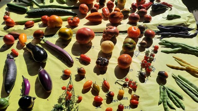 Foto: Kristin Hätterich