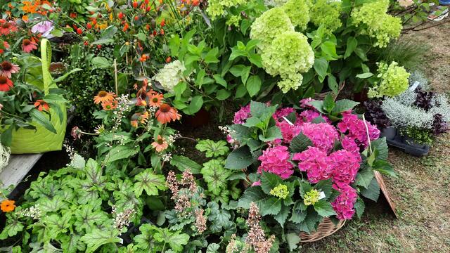 Foto: Kristin Hätterich