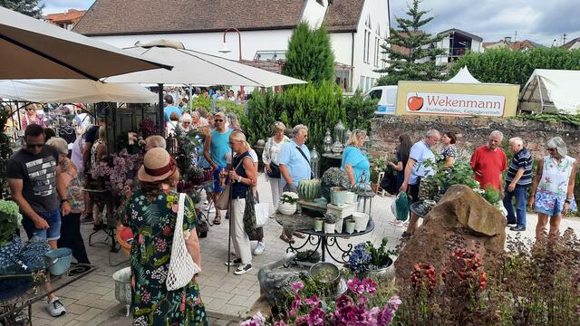 Foto: Kristin Hätterich