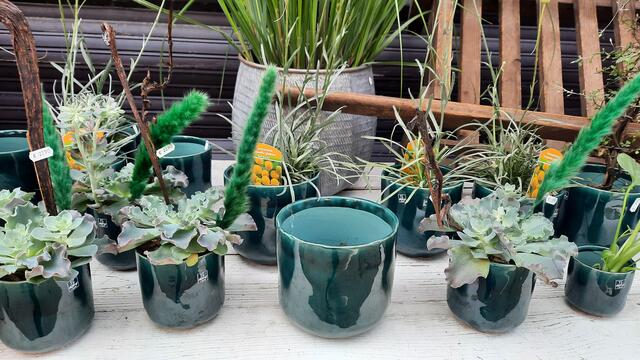 Foto: Kristin Hätterich