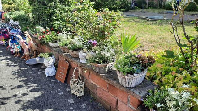 Foto: Kristin Hätterich