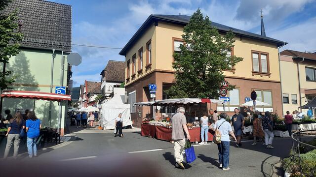 Foto: Kristin Hätterich