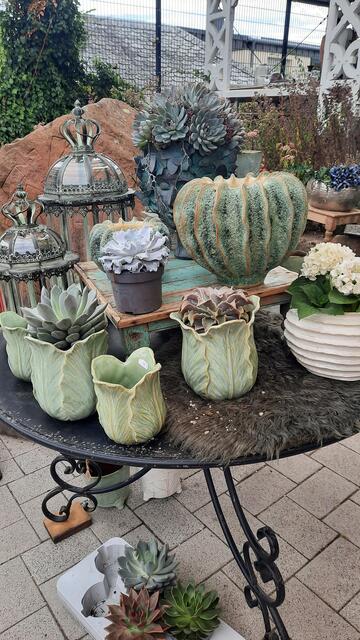 Foto: Kristin Hätterich