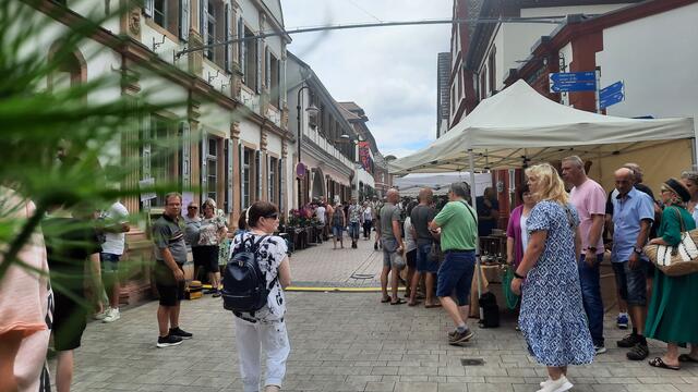 Foto: Kristin Hätterich