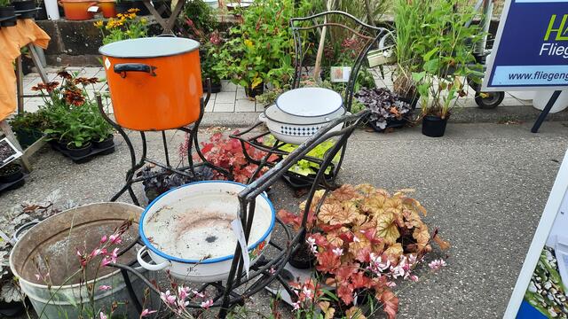 Foto: Kristin Hätterich