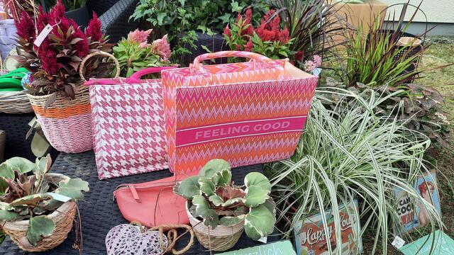 Foto: Kristin Hätterich