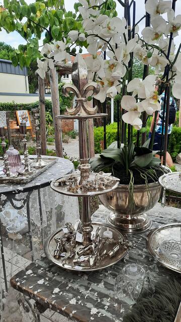 Foto: Kristin Hätterich