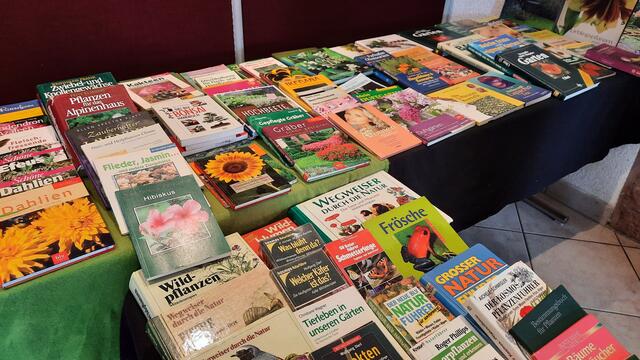 Foto: Kristin Hätterich