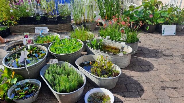 Foto: Kristin Hätterich