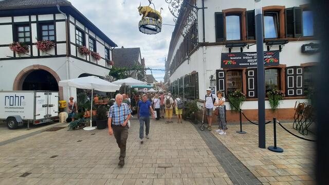 Foto: Kristin Hätterich