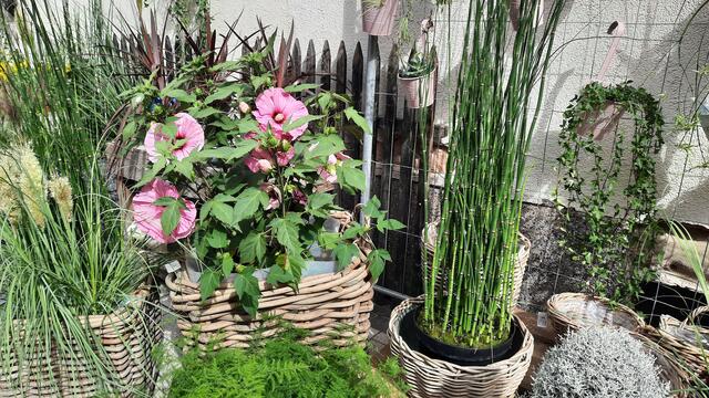 Foto: Kristin Hätterich