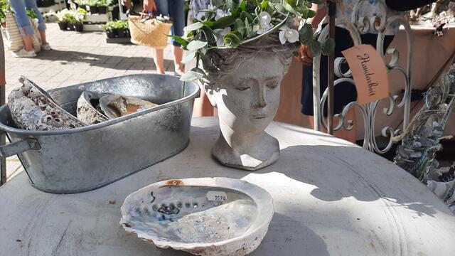 Foto: Kristin Hätterich