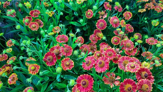 Foto: Kristin Hätterich