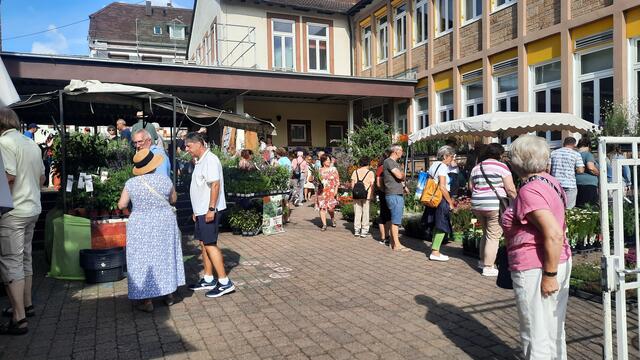 Foto: Kristin Hätterich