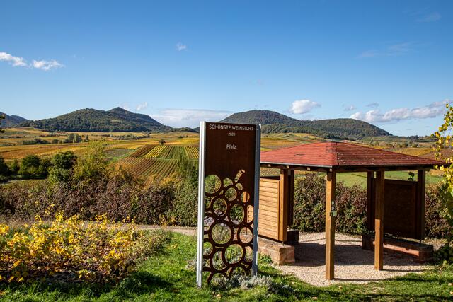 Motiv Oktober: Schönste Weinsicht 2020 | Foto: Michael Langner