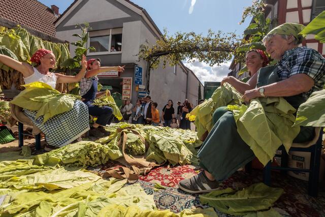 1.250 Jahre Bellheim - der Festumzug im Zeichen des Tabaks | Foto: Paul Needham