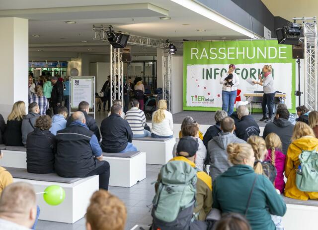 Fragen zu Rassehunden? Im Infoforum gibt es bei der TIERisch gut in Karlsruhe Antworten. | Foto: Messe Karlsruhe/Jürgen Rösner (2023)