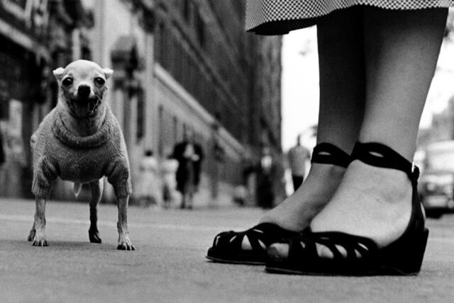 „Elliott Erwitt. Vintages“ in der Städtischen Galerie | Foto: Städtische Galerie