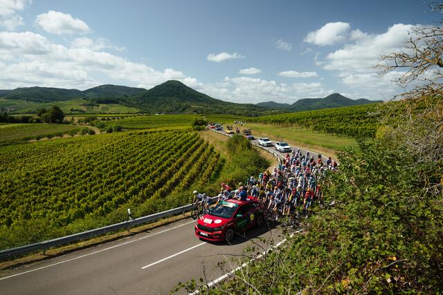 Radeln vor traumhafter Kulisse: Der Tross der Lidl Deutschland Tour auf dem Weg durch die Südliche Weinstraße.  | Foto: Marcel Hilger