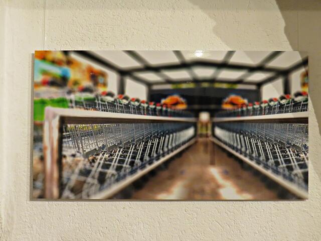 Foto: Brigitte Melder