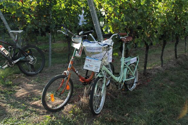 Foto: Michael Sonnick