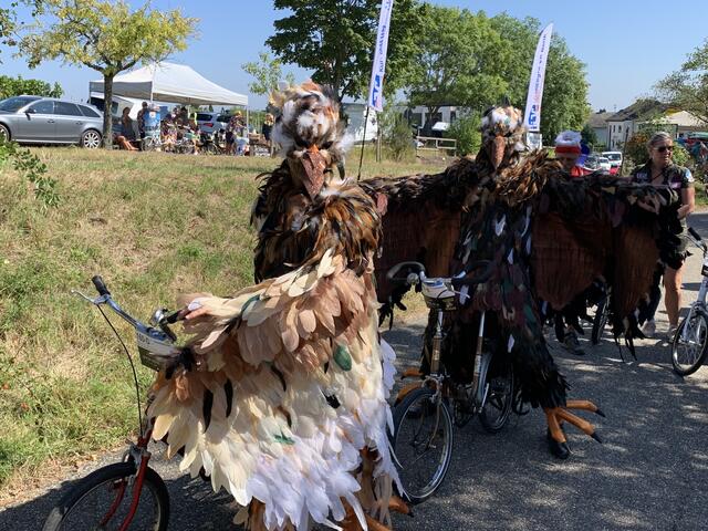 Foto: Michael Sonnick