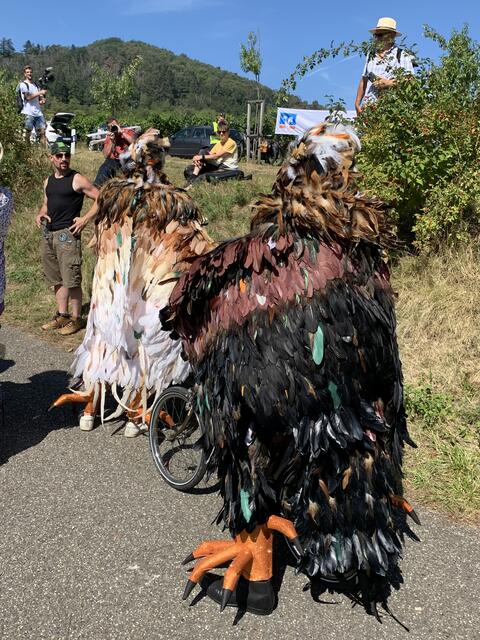 Foto: Michael Sonnick