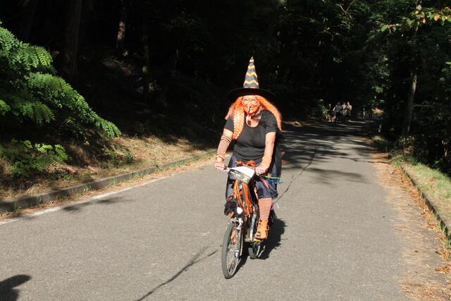 Foto: Michael Sonnick