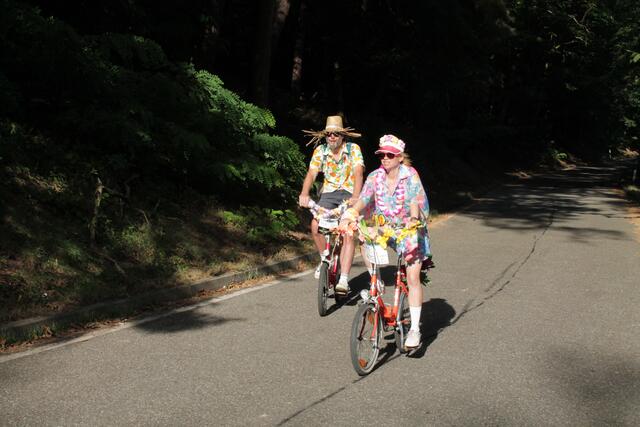 Foto: Michael Sonnick