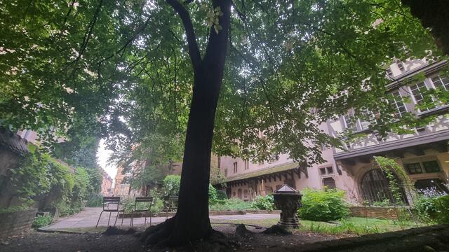 Schön sind die Orte der Ruhe im Alltag der Stadt | Foto: © www.jowapress.de