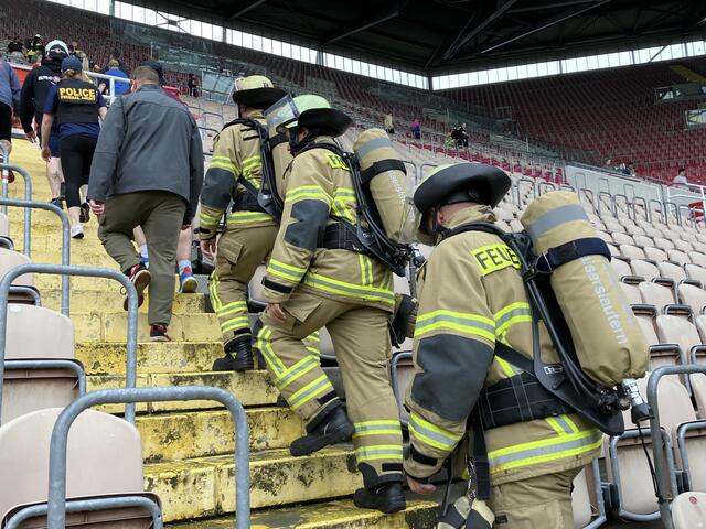 Foto: Stephanie Walter