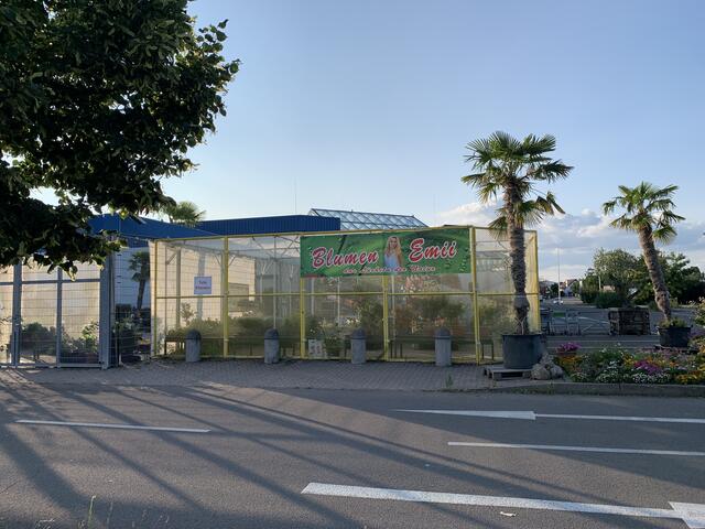 Das Blumengeschäft Emii ist seit dem Vorjahr auf dem ehemaligen Gelände vom Praktiker-Markt | Foto: Michael Sonnick