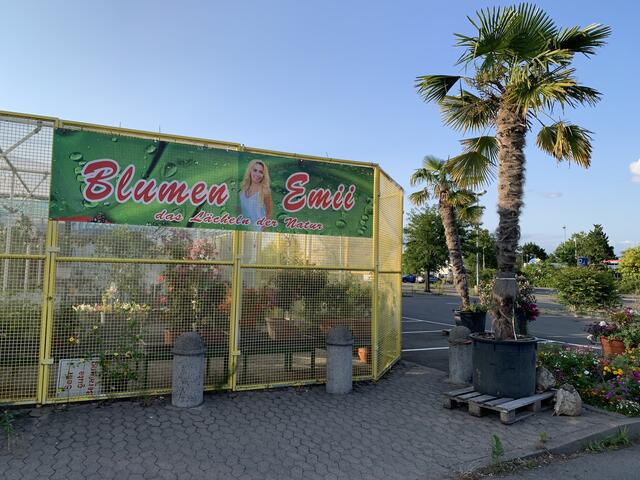 Das Blumengeschäft Emii ist seit dem Vorjahr auf dem ehemaligen Gelände vom Praktiker-Markt | Foto: Michael Sonnick