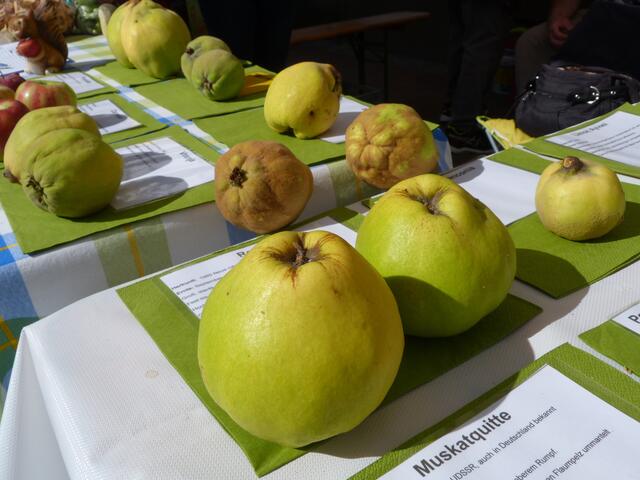 Foto: Stadtverwaltung Schifferstadt