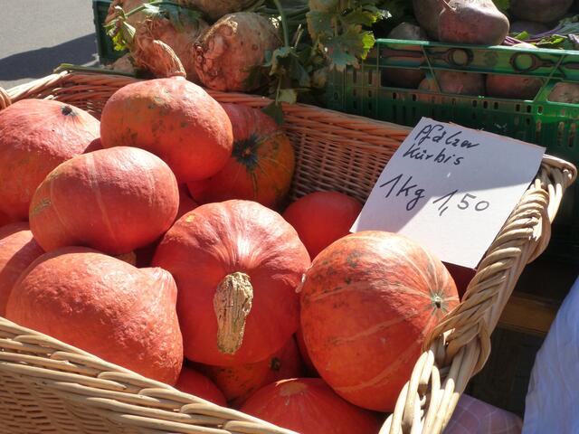Foto: Stadtverwaltung Schifferstadt