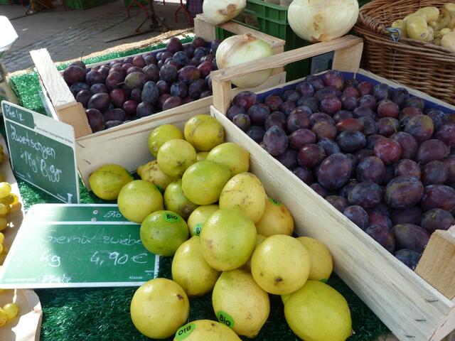 Foto: Stadtverwaltung Schifferstadt