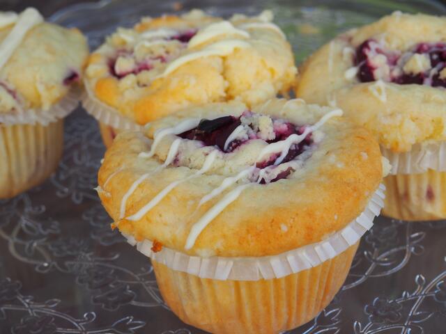 Foto: Stadtverwaltung Schifferstadt