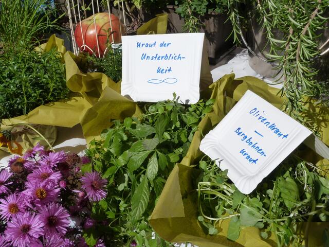 Foto: Stadtverwaltung Schifferstadt