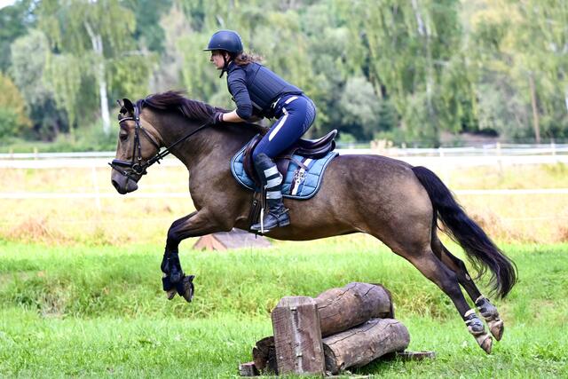kleine Baumstämme  | Foto: Helmfried. Schneider