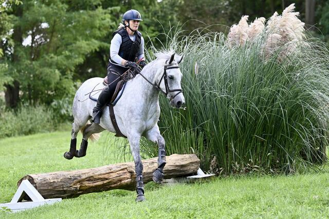 Sprung über denn Trakehnergraben 
 | Foto: Helmfried. Schneider