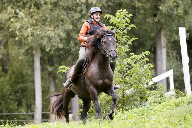 Bergauf und Bergab im Trapp oder Galopp
 | Foto: Helmfried. Schneider