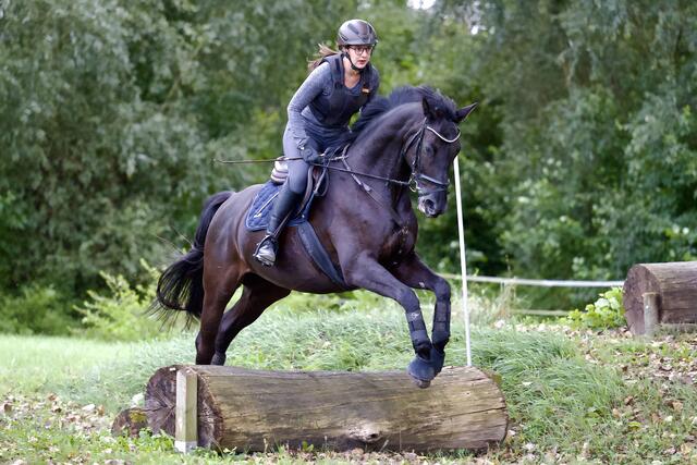 kleiner Absprung | Foto: Helmfried. Schneider