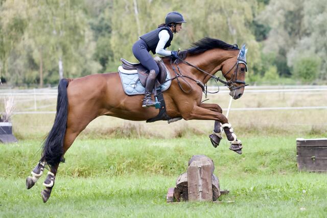 kleine Baumstämme innerhalb der Rennbahn | Foto: Helmfried. Schneider