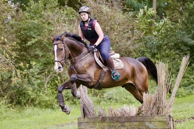 Sprung über die kleine Hecke | Foto: Helmfried. Schneider