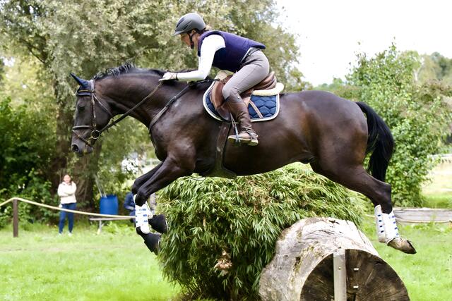 Über den dicken Baumstamm 
 | Foto: Helmfried. Schneider