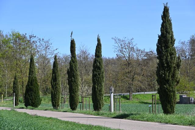 Kreuzweg zum Kirchel - April 2024 | Foto: Andrea Abt